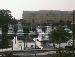 charleston river view.jpg