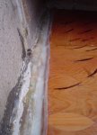 DSC02238.JPG