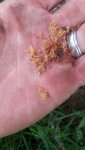 IMG_20180724_143659.jpg