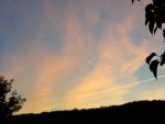 photo301861.jpg