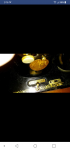 Screenshot_2018-09-26-15-16-57.png