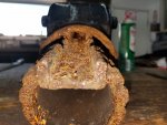 20181117_131152.jpg