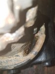 20181117_165725.jpg