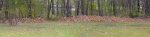 photo304243.png