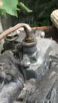 photo307411.png