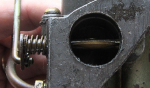 photo305499.png
