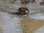 IMG_1349.JPG