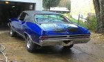 photo308303.jpg