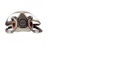photo306653.png