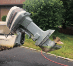 photo309960.gif