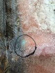 IMG_7102.jpeg