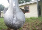 photo313083.jpg
