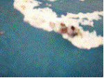 boat3.gif