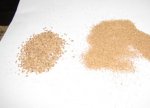 walnut shells.jpg
