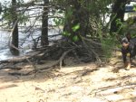 Dixie beach.jpg