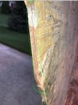 photo320138.jpg