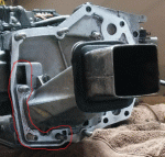 photo323211.gif