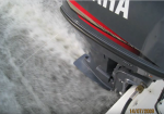 photo325625.png