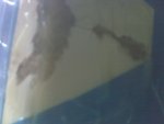 IMG00090.jpg
