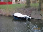 boat.jpg