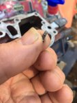 sportster screw out.jpg