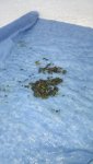 1010201732_resized.jpg