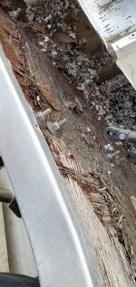 20201001_162753.jpg