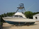 1976 28' Bertram.jpg