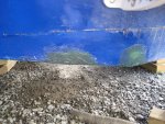 IMG_1469.JPG