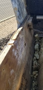 20201230_133418.jpg