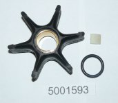 5001593.jpg