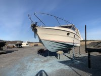IMG_7106.jpeg