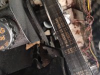 belt.jpg