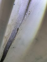 IMG_7266.jpeg