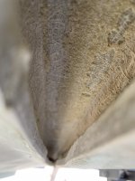 IMG_7284.jpeg