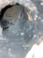 IMG_3733.JPG