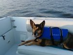 boat 003.jpg