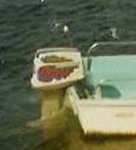 surf 60 2.jpg