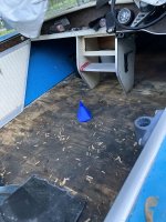 no carpet 2.jpg