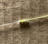 1AA66579-367B-4869-ADA4-FEECEDF1EF39.jpeg