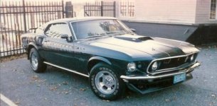 stang.jpg