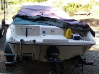 The stepped area where the ladder is at the rear of the boat  I call the swim grid..jpg