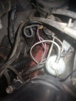 IMG_20210724_210405394.jpg
