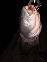 IMG_20210720_011422659.jpg