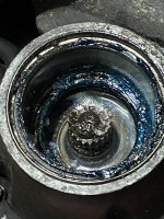 C637E232-4583-480B-AF97-ED7AF22F0073.jpeg