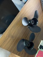 IMG-4413.jpg