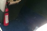 Carpet floor2.jpg