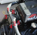 Hoses.JPG