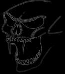 scull2.jpg