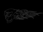 scull4.jpg